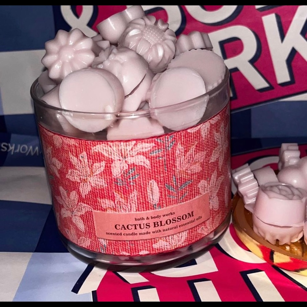Bath and body works cactus Blossom candle wax melts